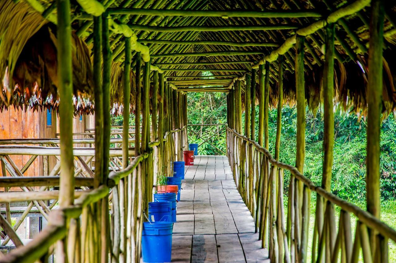 Amazon Muyuna Lodge Paraíso Exteriör bild