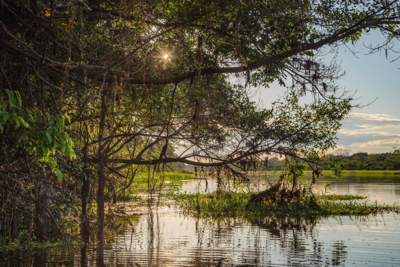 Amazon Muyuna Lodge Paraíso Exteriör bild