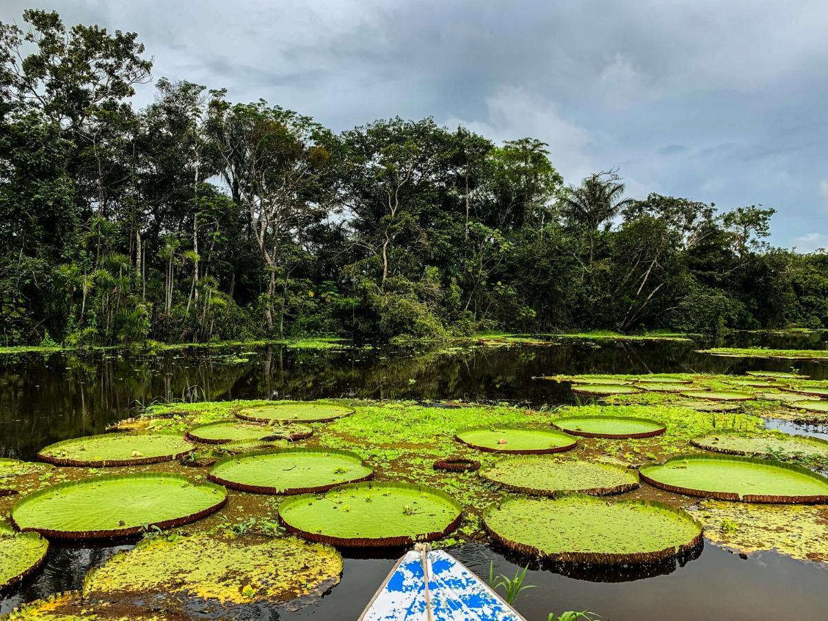 Amazon Muyuna Lodge Paraíso Exteriör bild